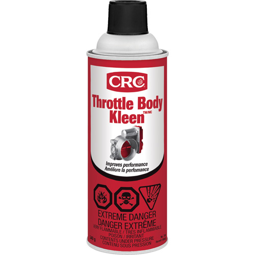 Throttle Body Kleen Air Intake Cleaner, Aerosol Can R.M.G. Prévention