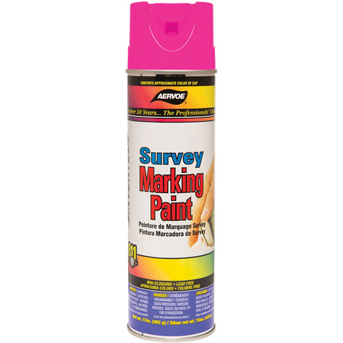 Peinture de marquage &agrave; base de solvant, 17 oz, Canette a&eacute;rosol R.M.G. Prévention