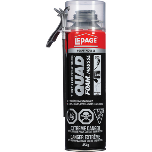 Quad&reg; Foam Window & Door Installation Foam, Aerosol Can, Tan R.M.G. Prévention