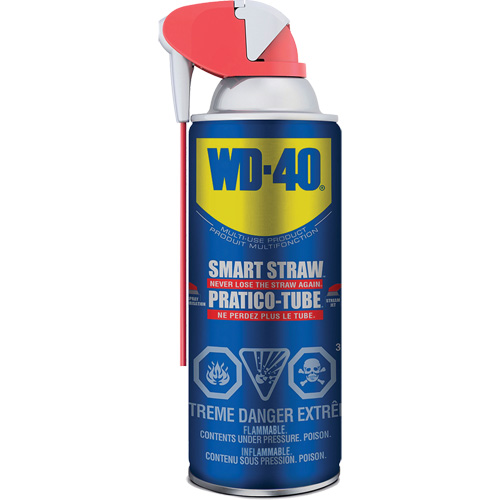 Multi-use Lubricant with Smart Straw, Aerosol Can, 325 g R.M.G. Prévention