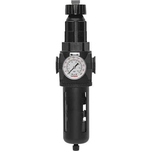 Modulair 400 Filter/Regulator with Manual Drain, 3/4" NPT, 200 psi, 9.1 fl. oz. Capacity R.M.G. Prévention
