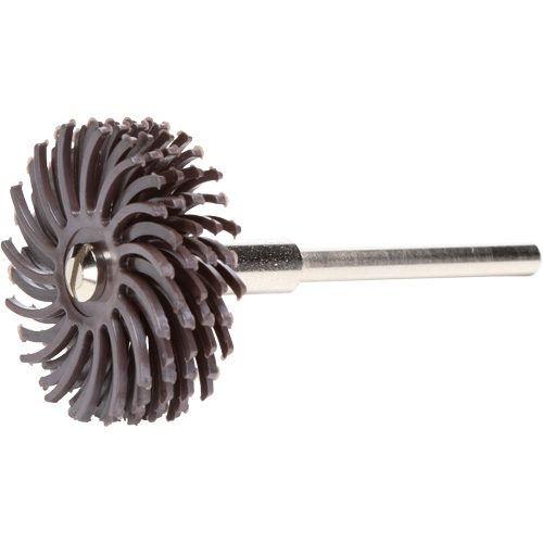 Scotch-Brite Radial Bristle Discs, Ceramic, 36X Grit, 1" Dia. R.M.G. Prévention