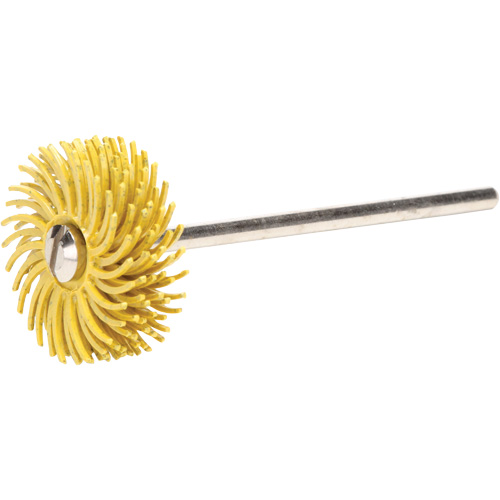 Scotch-Brite Radial Bristle Discs, 80X Grit, 3/4" Dia. R.M.G. Prévention