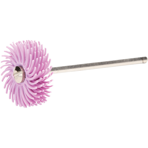 Scotch-Brite Radial Bristle Discs, Pumice Grit, 3/4" Dia. R.M.G. Prévention