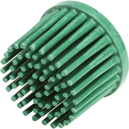 Disques bristle Roloc, C&eacute;ramique, Grain 50, 1" dia. R.M.G. Prévention