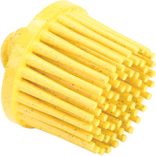 Roloc Bristle Discs, 80 Grit, 1" Dia. R.M.G. Prévention