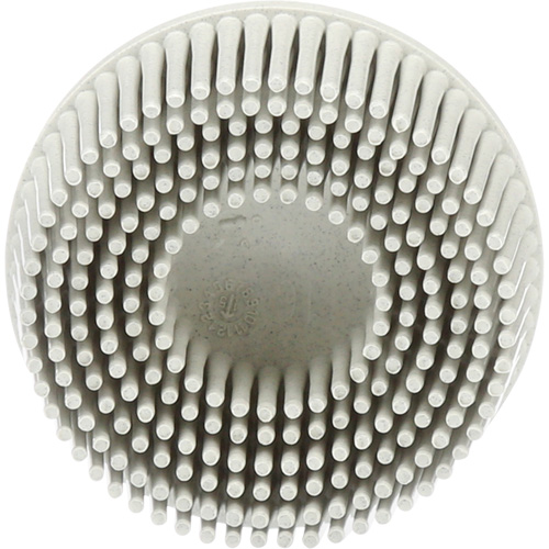 Scotch-Brite Roloc Bristle Discs, 120 Grit, 2" Dia. R.M.G. Prévention