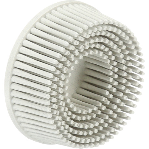 Scotch-Brite Roloc Bristle Discs, 120 Grit, 2" Dia. R.M.G. Prévention