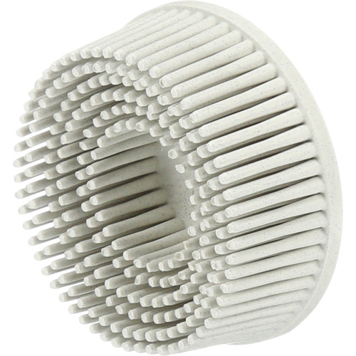 Scotch-Brite Roloc Bristle Discs, 120 Grit, 2" Dia. R.M.G. Prévention