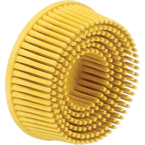Scotch-Brite Roloc Bristle Discs, 80 Grit, 2" Dia. R.M.G. Prévention