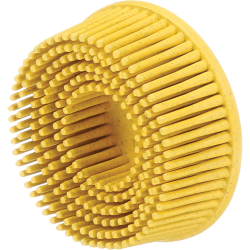 Scotch-Brite Roloc Bristle Discs, 80 Grit, 2" Dia. R.M.G. Prévention