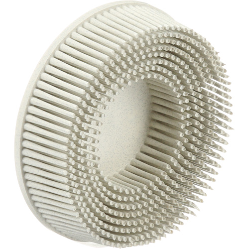 Scotch-Brite Roloc Bristle Discs, 120 Grit, 3" Dia. R.M.G. Prévention