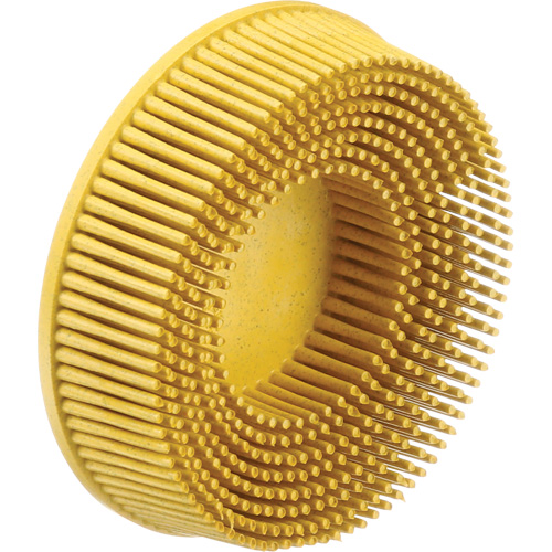 Scotch-Brite Roloc Bristle Discs, 80 Grit, 3" Dia. R.M.G. Prévention