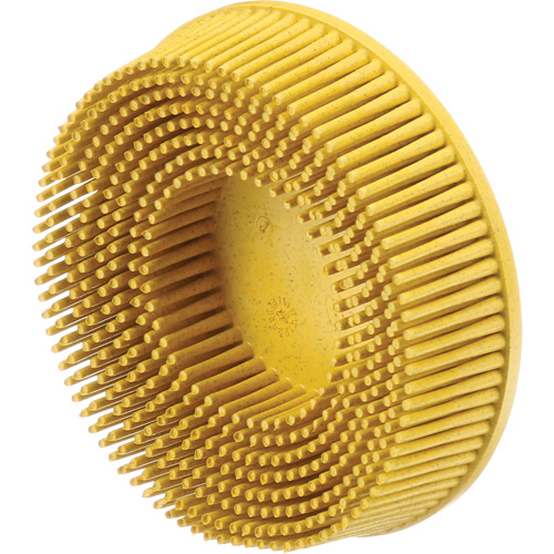 Scotch-Brite Roloc Bristle Discs, 80 Grit, 3" Dia. R.M.G. Prévention