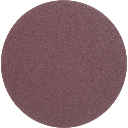 PSA Cloth Disc 248D, 12" Dia., 50 Grit, Aluminum Oxide R.M.G. Prévention