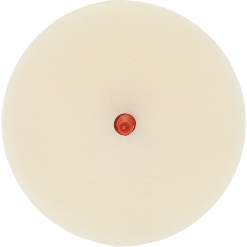 Disque pour enlever les bandes et les adh&eacute;sifs pour moulures Scotch-Brite, 4" dia. R.M.G. Prévention