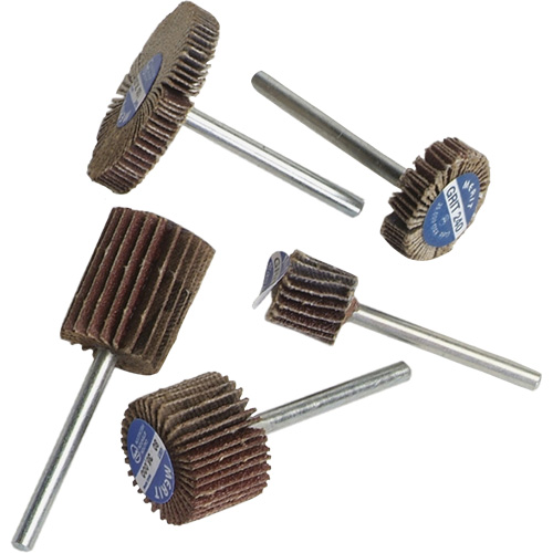 MMC Micro-Mini Flap Wheel Test Kit R.M.G. Prévention