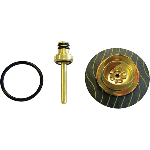 Filter/Regulator - Relieving Diaphragm & Valve Assembly R.M.G. Prévention