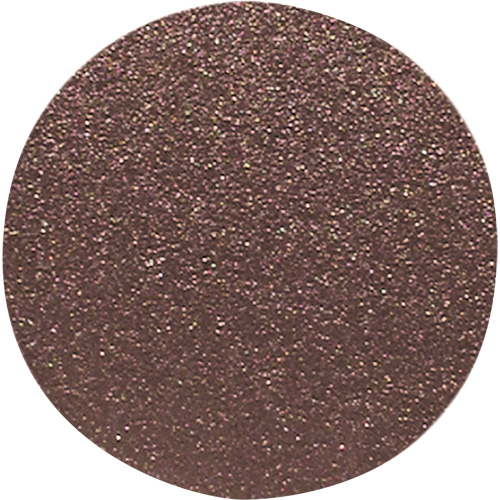 Wood Sanding Disc, 12" Dia., 120 Grit R.M.G. Prévention