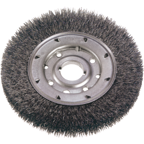 Crimped Wire Wheel Brushes - Medium Face, 10" Dia., 0.0118" Fill, 2" Arbor R.M.G. Prévention