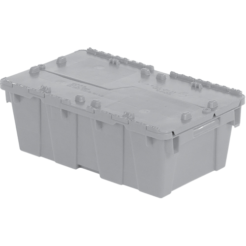 Flipak&reg; Polyethylene Plastic (PE) Distribution Containers, 19.7" x 11.8" x 7.3", Grey R.M.G. Prévention