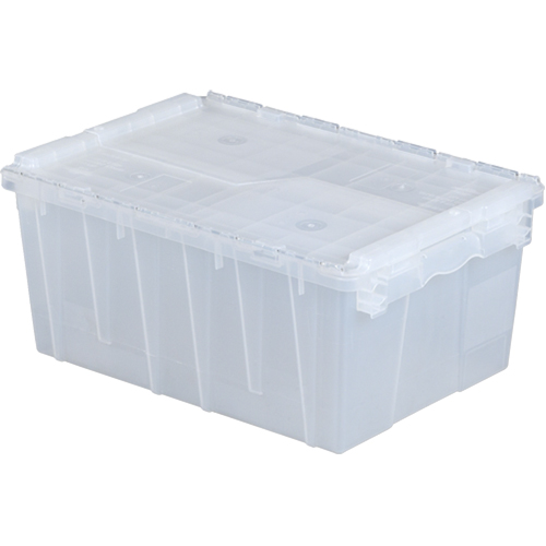 Flipak&reg; Polypropylene Plastic (PP) Distribution Containers, 21.8" x 15.2" x 9.3", Clear R.M.G. Prévention