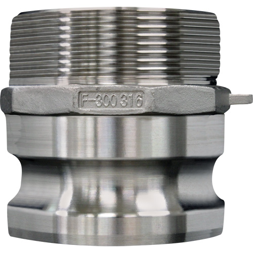 Cam & Groove Coupling, Stainless Steel, Type F, 4", Male NPT, 100 psi R.M.G. Prévention