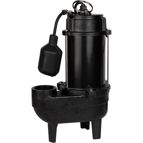 Pompe d'&eacute;gout en fonte, 120 V, 9,5 A, 6000 gal./h, 1/2 CV R.M.G. Prévention