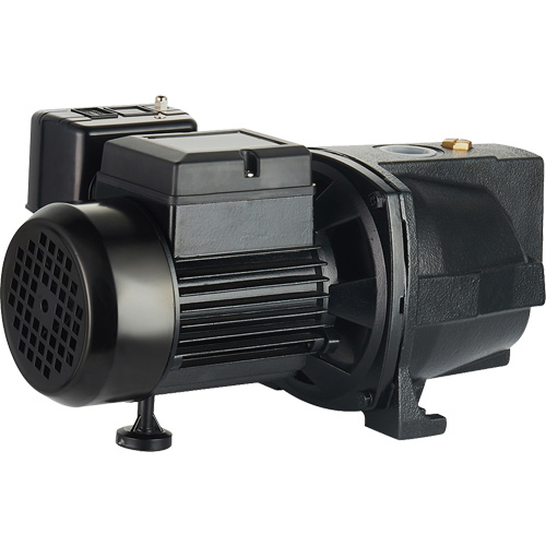 Pompe &agrave; jet en fonte &agrave; double tension pour puit peu profond, 115 V/230 V, 1100 gal./h, 1 CV R.M.G. Prévention