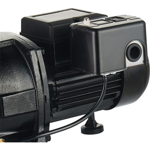 Pompe &agrave; jet en fonte &agrave; double tension pour puit peu profond, 115 V/230 V, 1100 gal./h, 1 CV R.M.G. Prévention