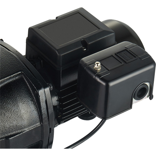 Pompe &agrave; jet en fonte &agrave; double tension pour puit peu profond, 115 V/230 V, 1100 gal./h, 1 CV R.M.G. Prévention