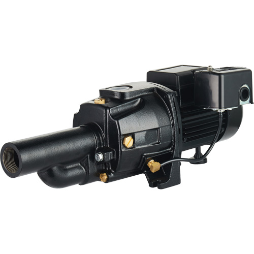 Pompe &agrave; jet en fonte &agrave; double tension transformable, 115 V/230 V, 1100 gal./h, 1/2 CV R.M.G. Prévention