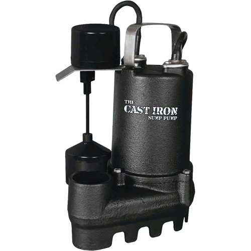 Pompe de puisard submersible en fonte avec interrupteur &agrave; flotteur vertical, 67 gal./min, 33 V, 5 A, 1/3 CV R.M.G. Prévention