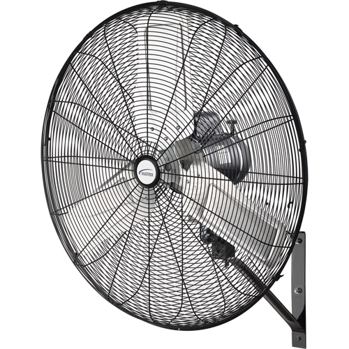 Oscillating Wall Fan, Industrial, 2 Speed, 30" Diameter R.M.G. Prévention