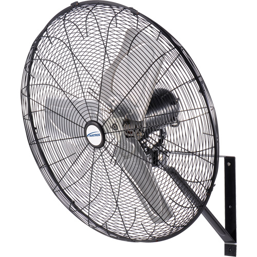 Waterproof Motor Misting & Oscillating Pedestal Fan, Industrial, 30" Dia., 3 Speeds R.M.G. Prévention