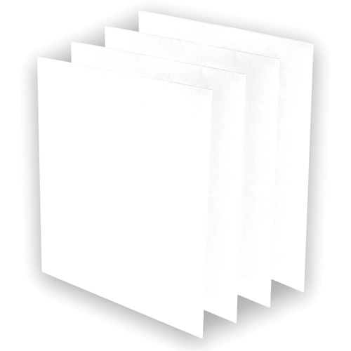 Pr&eacute;-filtres AeraMax Pro AM3 ou AM4, 13,75" la x 0,13" p x 14,38" h R.M.G. Prévention