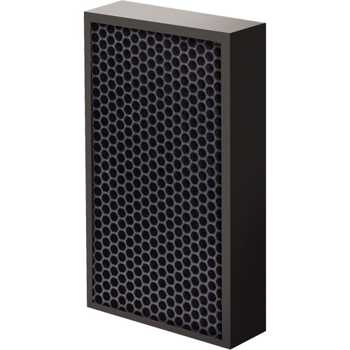 Filtre au carbone AeraMax Pro AM2 1-3/4", Boîte, 7,38" la x 1,88" p x 12,88" h R.M.G. Prévention