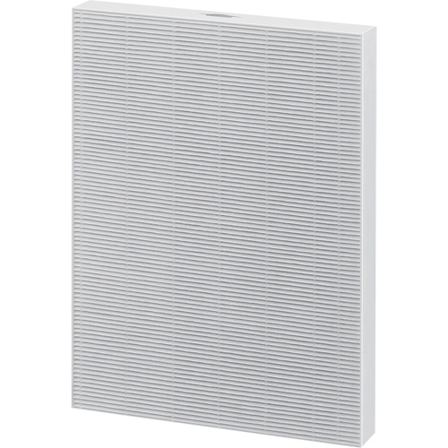 Filtre HEPA v&eacute;ritable AeraMax de rechange, Boîte, 10,31" la x 1,19" p x 13,38" h R.M.G. Prévention