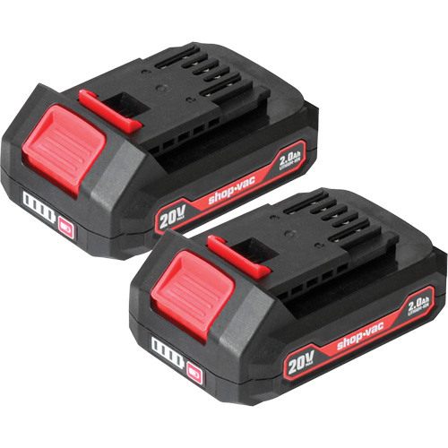 2.0Ah Lithium Battery - 2 Pack, 20 V R.M.G. Prévention