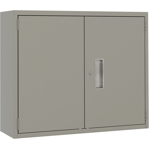 Wall Mounted Cabinet, Steel, 2 Shelves, 30" H x 36" W x 12" D, Grey R.M.G. Prévention