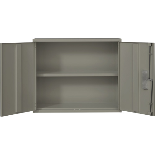 Wall Mounted Cabinet, Steel, 2 Shelves, 30" H x 36" W x 12" D, Grey R.M.G. Prévention