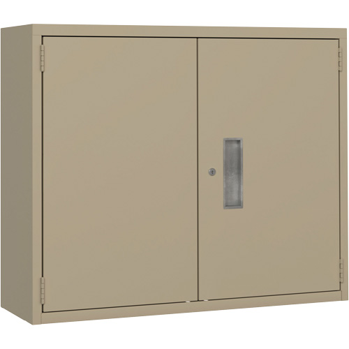 Wall Mounted Cabinet, Steel, 2 Shelves, 30" H x 36" W x 12" D, Beige R.M.G. Prévention