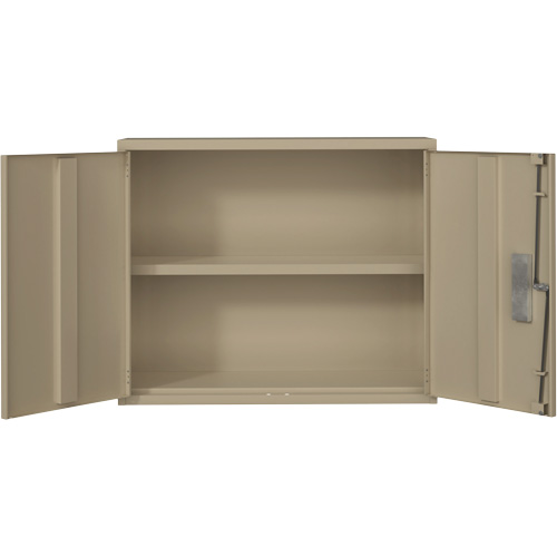Wall Mounted Cabinet, Steel, 2 Shelves, 30" H x 36" W x 12" D, Beige R.M.G. Prévention