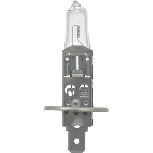 64155 Ampoule automobile de base, Halog&egrave;ne, 78 W, Blanc cass&eacute; R.M.G. Prévention