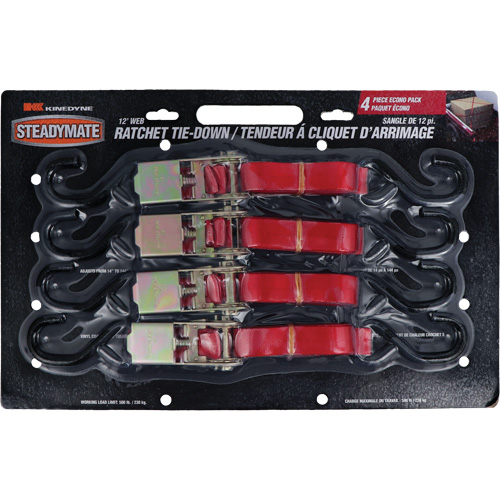 Ratchet Utility Straps, S-Hook, 1" W x 12' L, 500 lbs. (230 kg) Working Load Limit R.M.G. Prévention