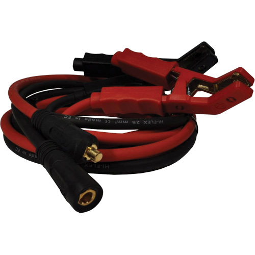 100 A High-Power Smart Charger with Inverter Technology R.M.G. Prévention