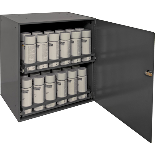 Armoire de rangement pour contenants a&eacute;rosol, Acier, 21-7/8" h x 15-15/16" la x 20-5/16" P, Gris R.M.G. Prévention