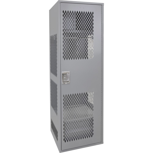 Gear Locker with Door, Steel, 24" W x 24" D x 72" H, Grey R.M.G. Prévention