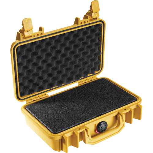 1170 Protector Case, Hard Case R.M.G. Prévention