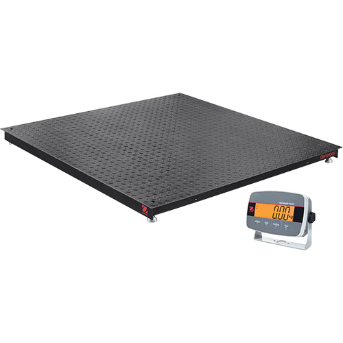 Defender 3000 Floor Scale, 5000 lbs. Capacity, 5' L x 5' W R.M.G. Prévention